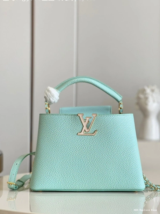 Aaa replica bags VUITTON BB LOUIS CAPUCINES 0807